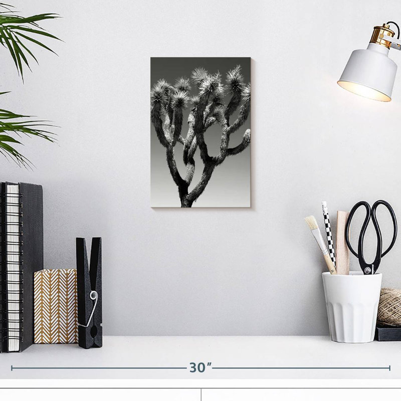 Harnek Black Arizona - The Joshua Tree, 12" H x 8" W