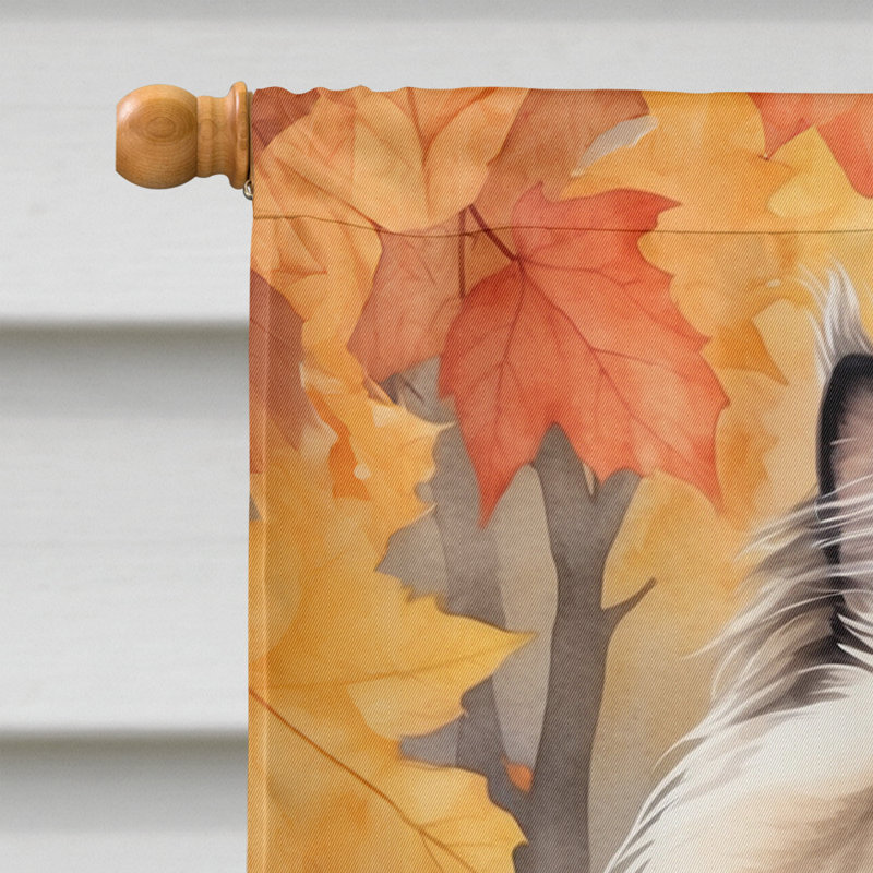 Chat en feuilles d'automne, Colorpoint Longhair
