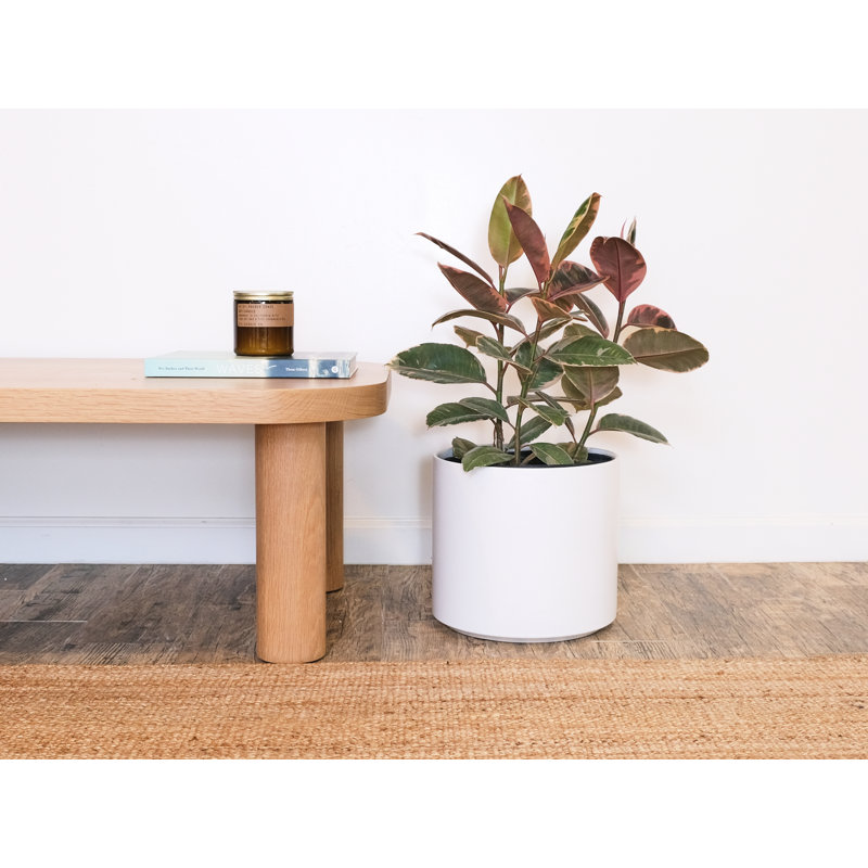 Pot à fleurs en céramique Keyes, Blanc, H 7,75 po x l 8,5 po x P 8,5 po