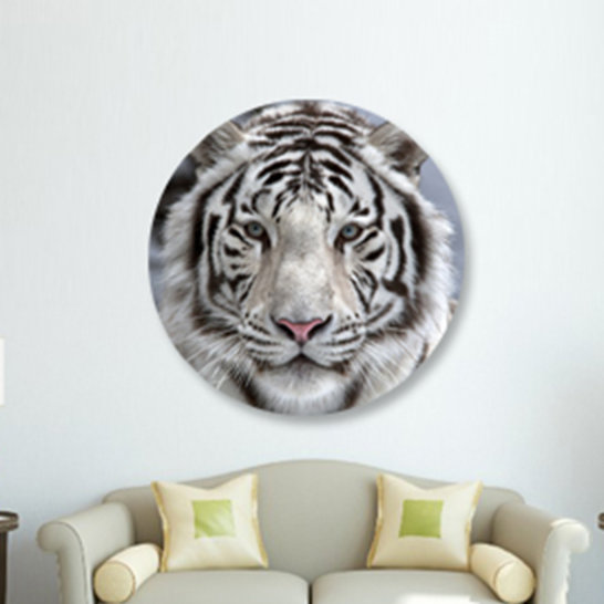 White Tiger Sighted Print, 24" H x 24" W x 1.5" D