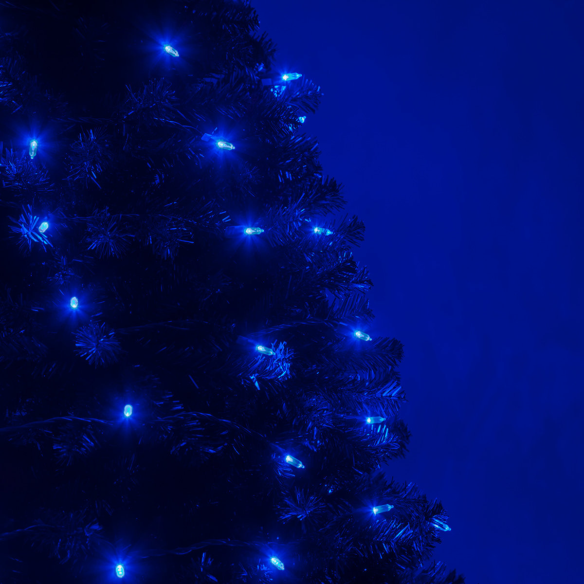25.5' Steady LED String Lights, Blue