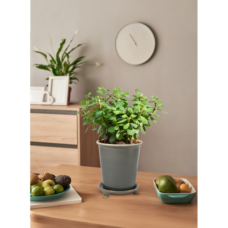 Pot de fleurs en céramique Alois