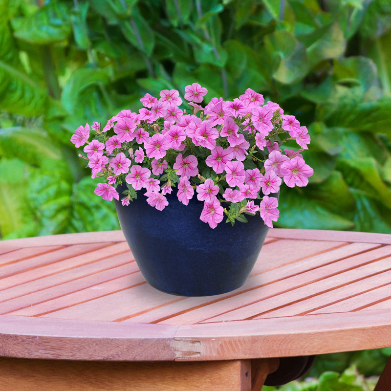 Pot de fleurs extérieur rond en céramique 14,5 po x 14,5 po x 11,25 po Alawi - bleu impérial, Bleu