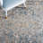Ladora Performance Oriental Rug-556898832