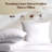  100% Cotton Shell Feather Down Soft Medium Throw Pillow Inserts 16x16 (Set of 2)-111634280