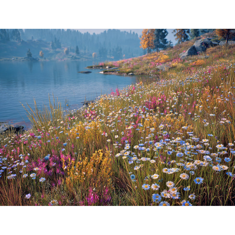 Art mural sur toile Meadow Blooms by the Lake, H 24 po x l 36 po