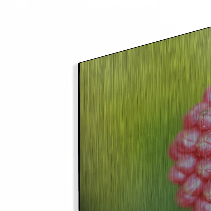 «Pod» par Dana Brett Munach, H 24 po x l 36 po