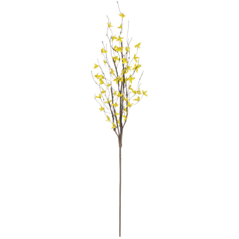 Forsythia Arrangement