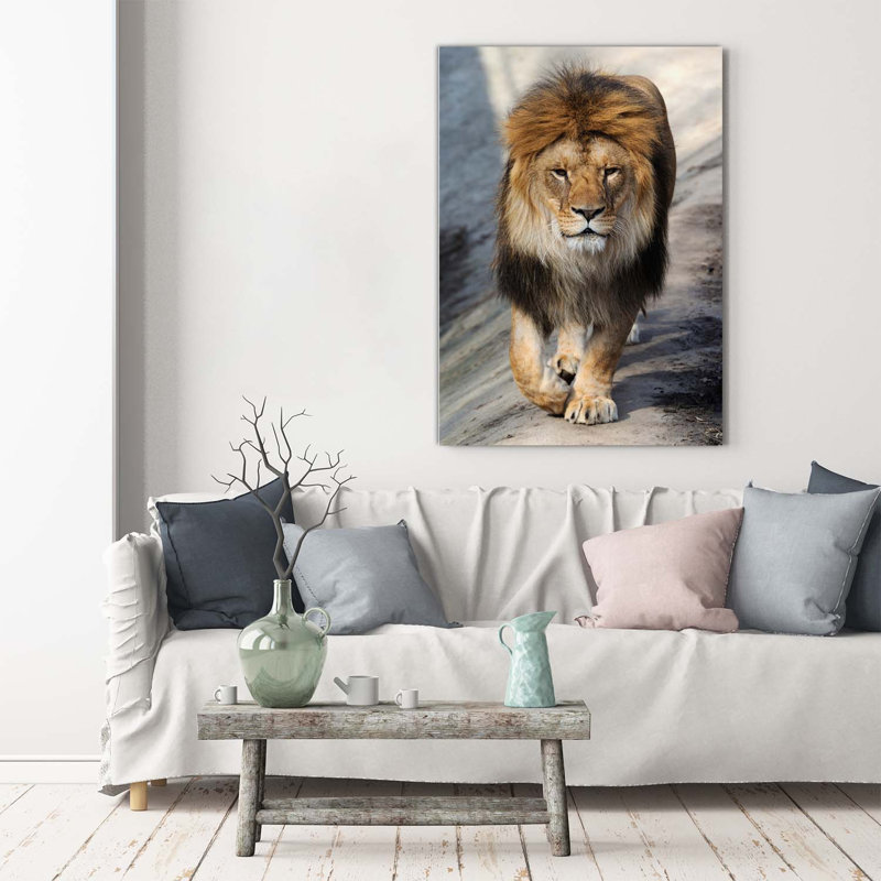 Lion - Wrapped Canvas Print