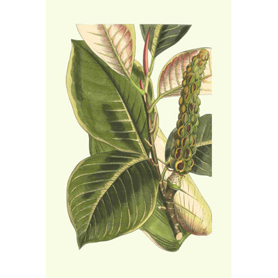 Fantastique botanique IV