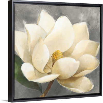 " Magnolias Blossom On Gray "