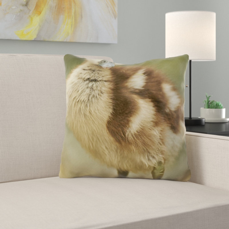 Coussin d’oie