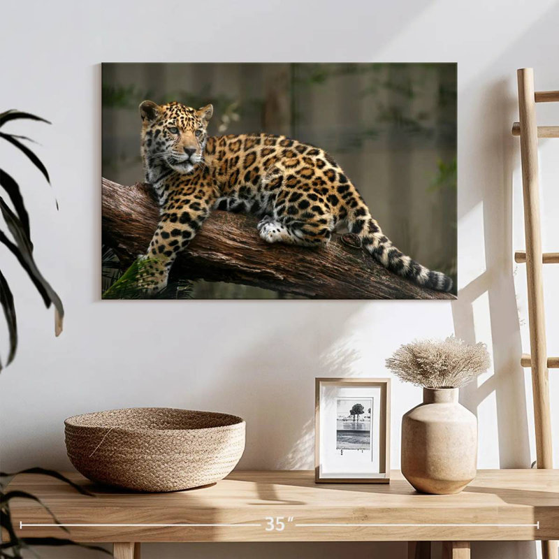 Regard de bébé jaguar Brampt, H 8 po x l 12 po