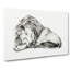 Sleeping Lion by Jean Bernard - Wrapped Canvas Print-55318535