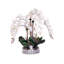 Real Touch Phalaenopsis Orchids /Moss/pebbles in Glass Silver Bowl