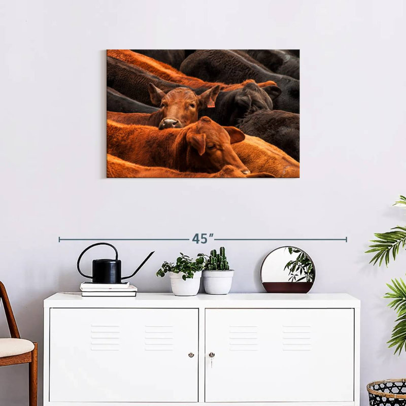 Beef Cattle, 20" H x 30" W