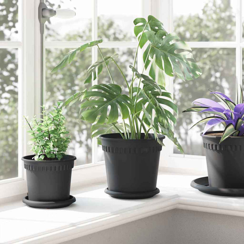 Pot Planter, 16cm H x 19cm W x 19cm D, Black