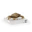 Coastal Crab Figurine