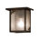 Rustic Lodge 1 - Light Outdoor Wall Lantern
