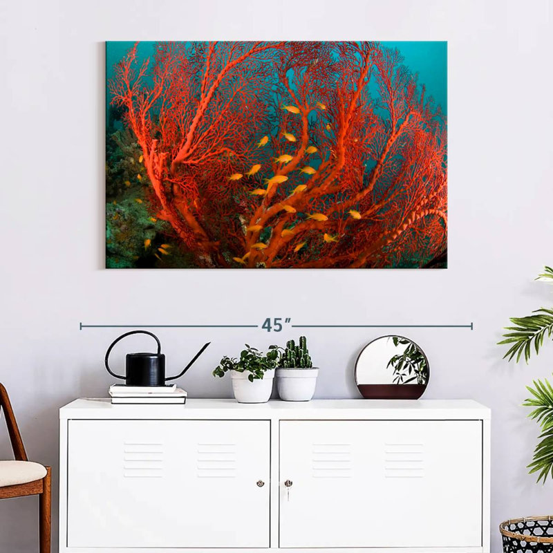 Fire Coral, 26" H x 39" W