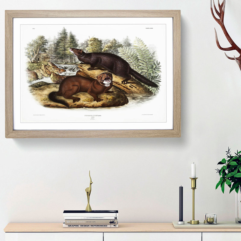 Mink by J.W. Audubon - Picture Frame Painting Print, Oak Framed, 48cm H x 65cm W x 2cm D