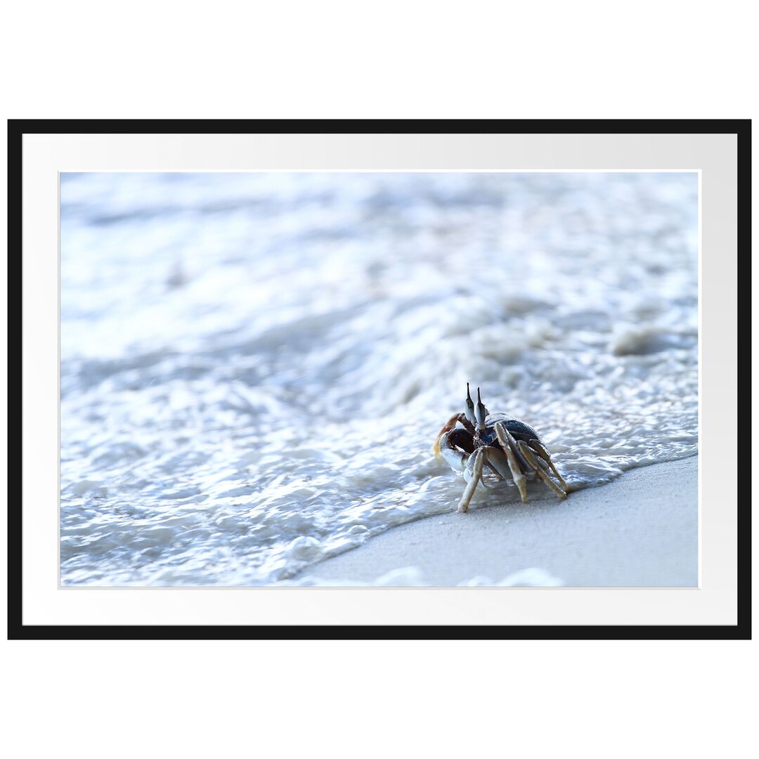 Gerahmtes Poster Kleine Krabbe am Strand