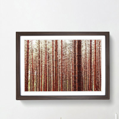 Red Forest in the Autumn - Picture Frame Photograph Print