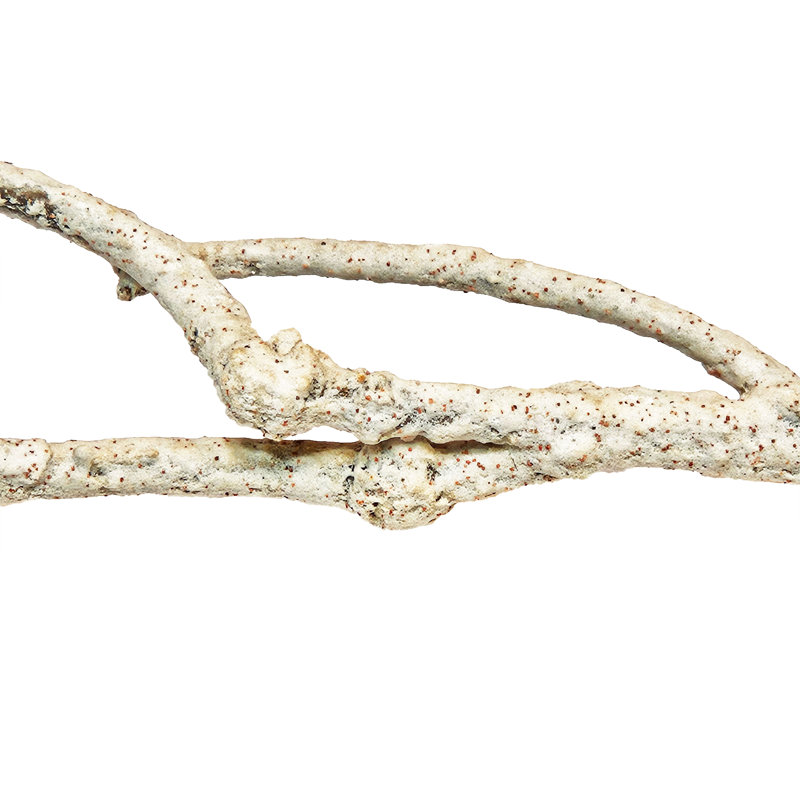 Branch Décor - Set of 4 - Cream