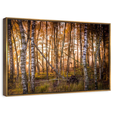 Forêt de bouleaux sombre