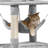 Cat Tree-558245885