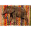 Tribal Elephant Animals - Impression sur toile-23339913