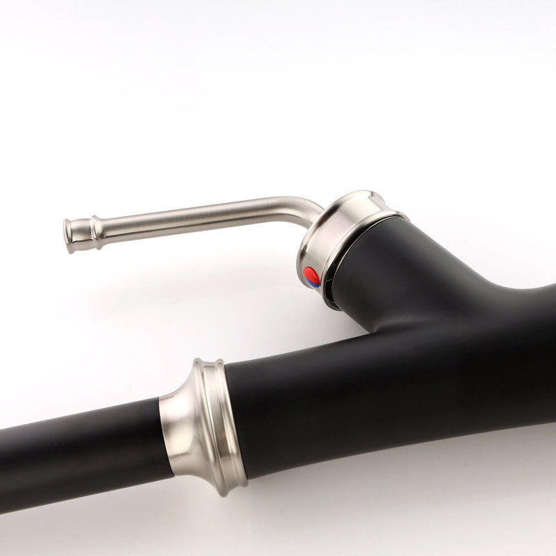Rainlex Pull Down Kitchen Faucet