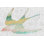 " Patterned Bird IV " Mixed Media Print