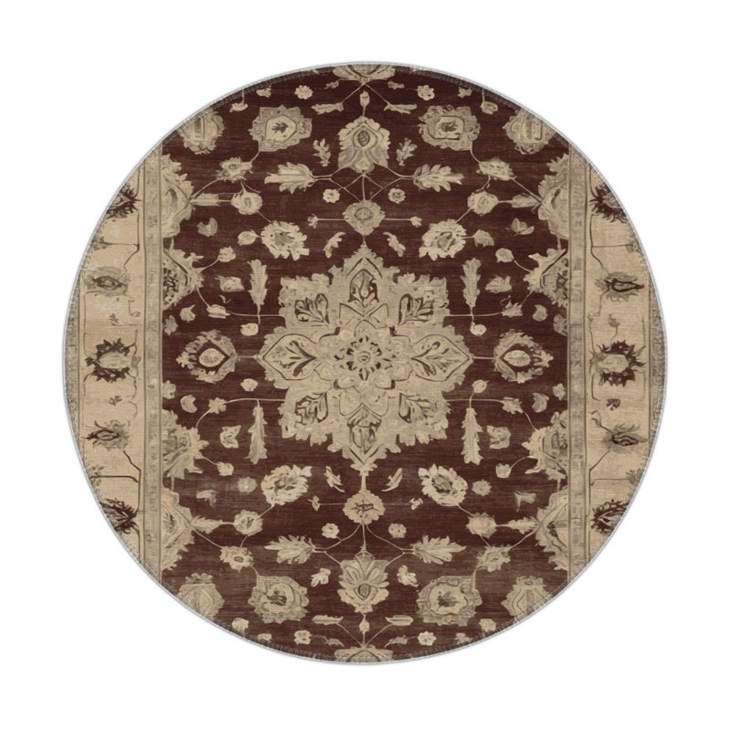 Tapis intérieur et extérieur brun Overdyed, Rond 5 pi