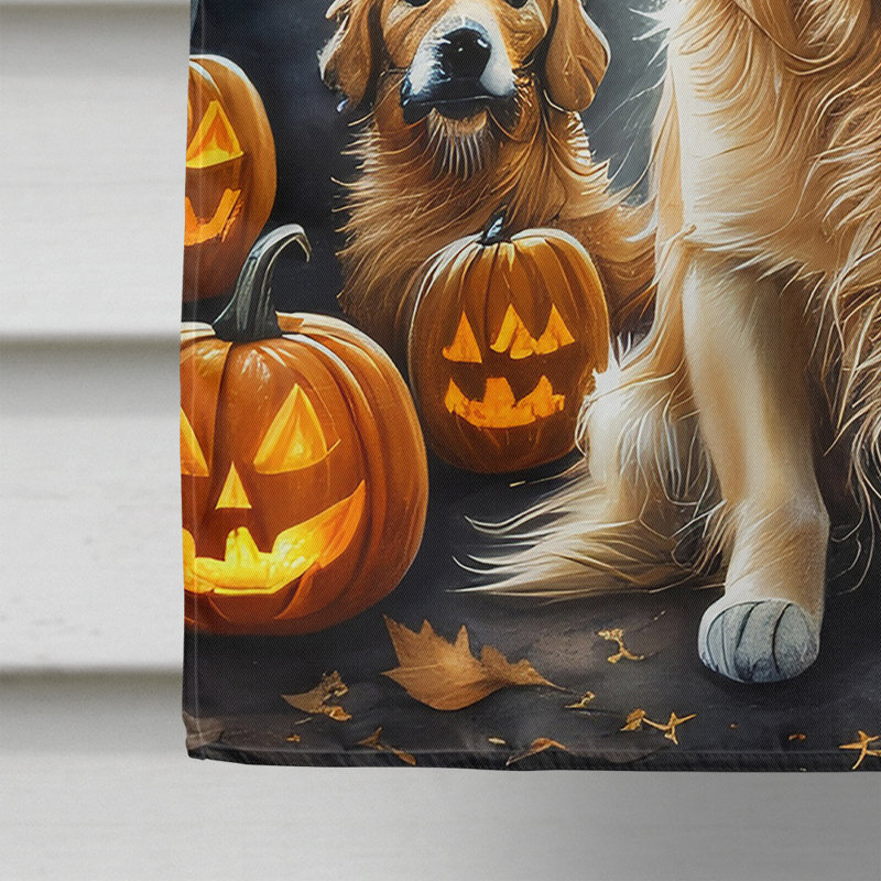 Double Sided 40'' H x 28'' W Polyester Halloween House Flag