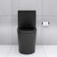 Toilette allongée une pièce matte à double chasse 1,1 / 1,6 GPF économisant l'eau 1000G, noir mat-124934879