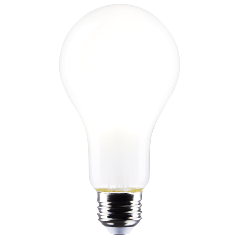 A21 18,5 watts 18,5 watts à culot moyen à culot moyen 5000K 120 volts, 5 000 K
