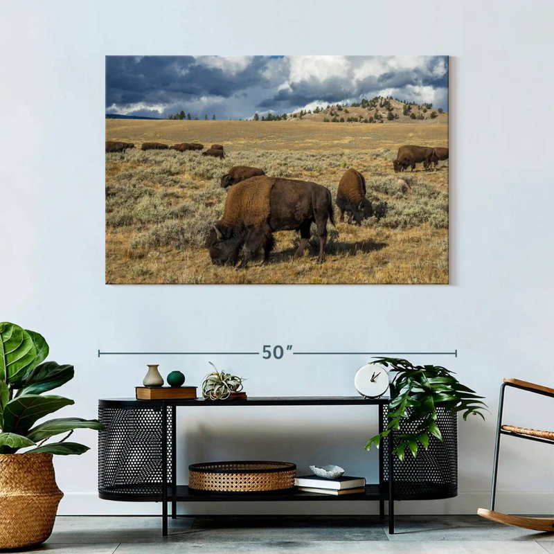 Brampt Yellowstone Bison, 32" H x 48" W