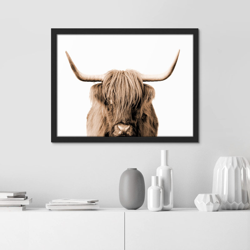 "Portrait de vache Shetland brune et blanche à deux tons" sur papier, Noir, H 12 po x l 16 po