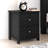 Isenbert 2-Drawer Nightstand-1601593285