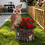 Jardinière multifonctionnelle en résine 22 po Hibou