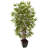 Faux Bamboo Tree in Planter-1223083804