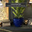Vase de plancher en porcelaine Jalani-1165234722-1147349123