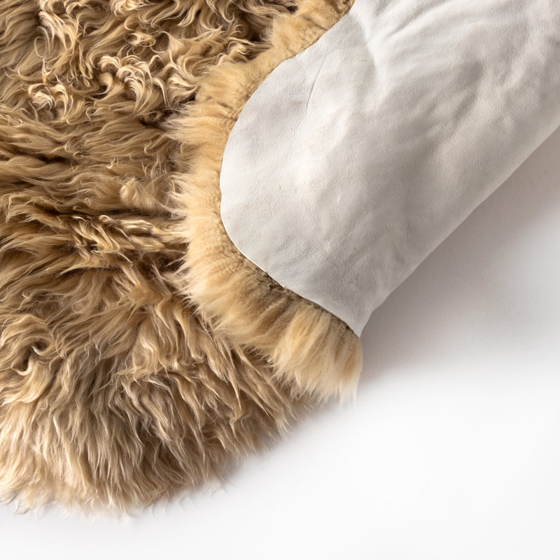 Lalo Sheepskin Area Rug in Cream, Novelty 3'3 x 5'10"