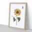 Sunflower with Butterflies by Johan Teyler - Picture Frame Painting Print on MDF-55613866-55613867