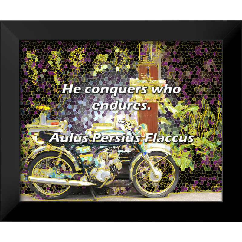 Aulus Persius Flaccus Citation: «Il conquiert qui endure.