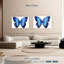 Papillon bleu cosmique-107668318