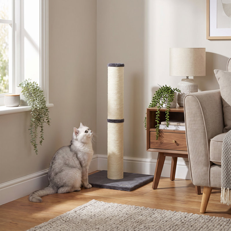 80 cm H Cat Scratchers