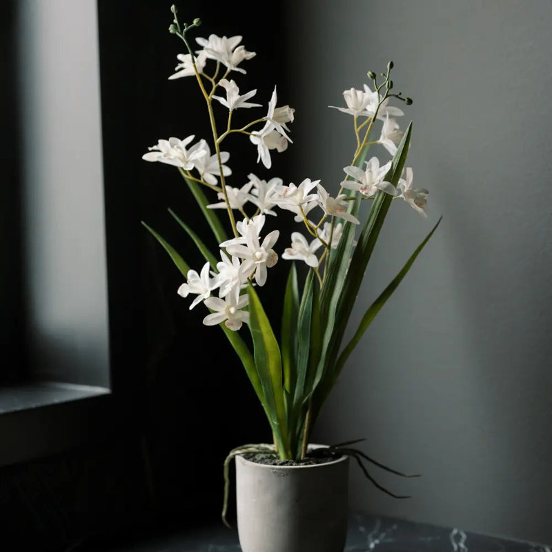 22.5" Artificial White Orchid in Vanda Pot