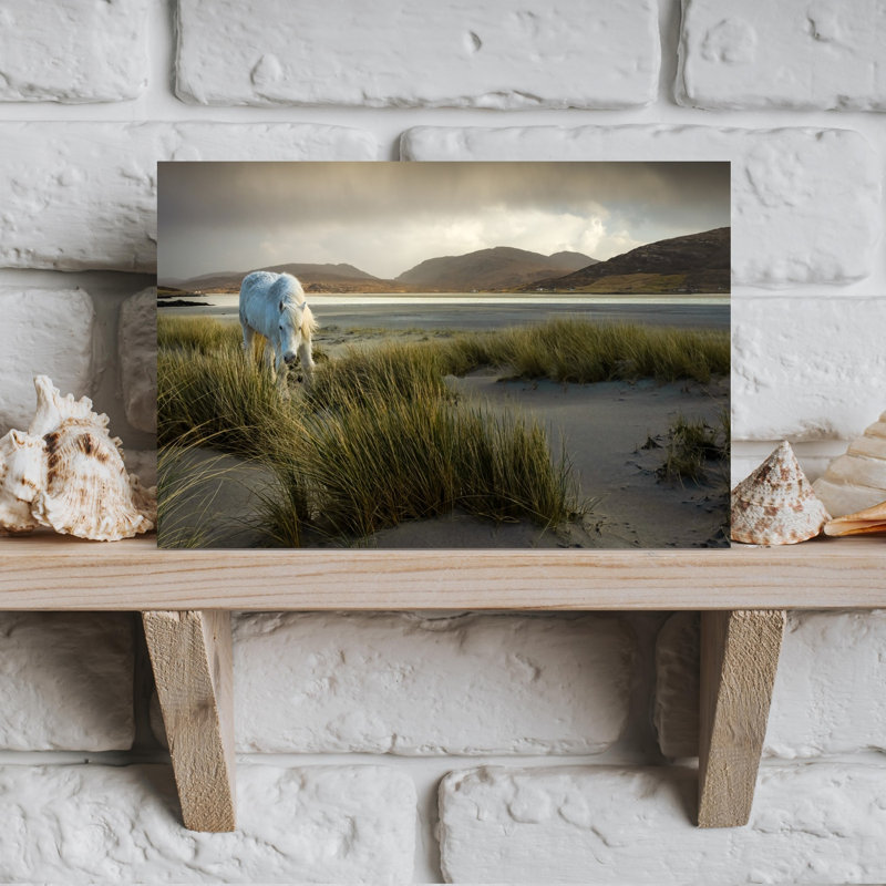 White Horse On Dunes Dramatic Peaceful Serene Horse Coastal Wall Art Print 1 Piece Wrapped Canvas Wall Art